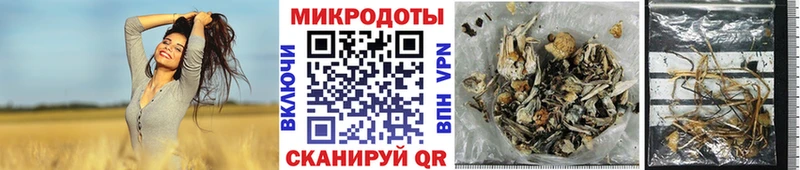 Псилоцибиновые грибы Cubensis  Купить где  Колпашево 