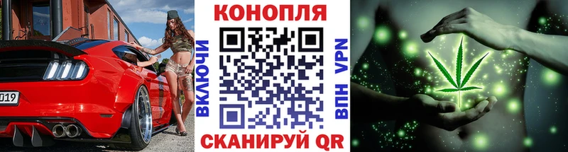 Каннабис SATIVA & INDICA  Купить закладки  Колпашево 